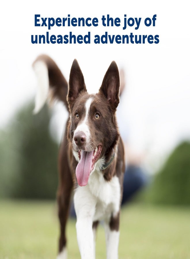 بيت سيف طوق تدريب عن بعد من بيت سيف بمدى 300 ياردة - اختر من بين النغمة أو الاهتزاز أو 15 مستوى من التحفيز الساكن - خيار متوسط المدى لتدريب الكلاب بدون مقود - مقاوم للماء ومتين - قابل لإعادة الشحن - Image 5